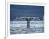 Humpback Whale Tail While Diving in Frederick Sound, Tongass National Forest, Alaska, Usa-Paul Souders-Framed Photographic Print