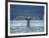 Humpback Whale Tail While Diving in Frederick Sound, Tongass National Forest, Alaska, Usa-Paul Souders-Framed Photographic Print