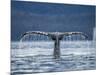 Humpback Whale Tail While Diving in Frederick Sound, Tongass National Forest, Alaska, Usa-Paul Souders-Mounted Photographic Print