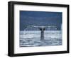 Humpback Whale Tail While Diving in Frederick Sound, Tongass National Forest, Alaska, Usa-Paul Souders-Framed Premium Photographic Print