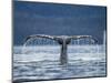 Humpback Whale Tail While Diving in Frederick Sound, Tongass National Forest, Alaska, Usa-Paul Souders-Mounted Premium Photographic Print