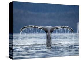 Humpback Whale Tail While Diving in Frederick Sound, Tongass National Forest, Alaska, Usa-Paul Souders-Stretched Canvas