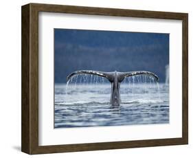 Humpback Whale Tail While Diving in Frederick Sound, Tongass National Forest, Alaska, Usa-Paul Souders-Framed Photographic Print