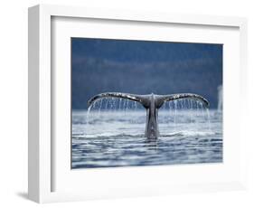 Humpback Whale Tail While Diving in Frederick Sound, Tongass National Forest, Alaska, Usa-Paul Souders-Framed Photographic Print