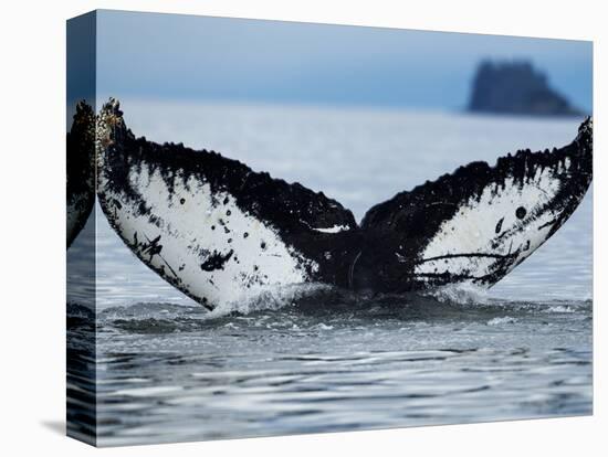 Humpback Whale Tail While Diving in Frederick Sound, Tongass National Forest, Alaska, Usa-Paul Souders-Stretched Canvas