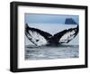 Humpback Whale Tail While Diving in Frederick Sound, Tongass National Forest, Alaska, Usa-Paul Souders-Framed Photographic Print