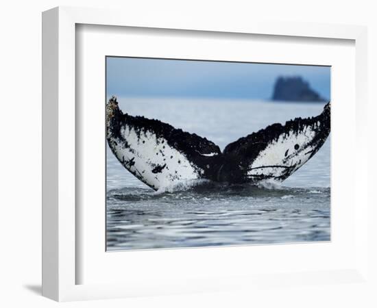 Humpback Whale Tail While Diving in Frederick Sound, Tongass National Forest, Alaska, Usa-Paul Souders-Framed Photographic Print