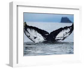 Humpback Whale Tail While Diving in Frederick Sound, Tongass National Forest, Alaska, Usa-Paul Souders-Framed Photographic Print