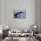 Humpback Whale Tail-Michele Westmorland-Framed Stretched Canvas displayed on a wall