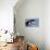 Humpback Whale Tail-Michele Westmorland-Photographic Print displayed on a wall