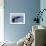 Humpback Whale Tail-Michele Westmorland-Framed Photographic Print displayed on a wall