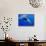 Humpback Whale Underwater-Paul Souders-Mounted Photographic Print displayed on a wall