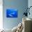 Humpback Whale Underwater-Paul Souders-Photographic Print displayed on a wall