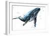 Humpback Whale Watercolor Illustration. Underwater Fauna-Faenkova Elena-Framed Art Print