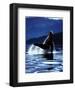 Humpback Whale-Art Wolfe-Framed Art Print