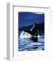 Humpback Whale-Art Wolfe-Framed Art Print