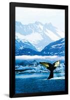 Humpback Whale-null-Framed Poster