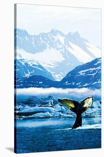 Humpback Whale-null-Stretched Canvas