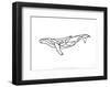 Humpback Whale-Antoine Tesquier Tedeschi-Framed Art Print