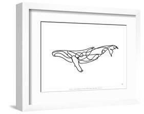 Humpback Whale-Antoine Tesquier Tedeschi-Framed Art Print