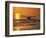 Humpback Whale-Amos Nachoum-Framed Photographic Print