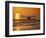 Humpback Whale-Amos Nachoum-Framed Photographic Print