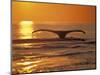 Humpback Whale-Amos Nachoum-Mounted Photographic Print