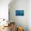 Humpback Whale-Reinhard Dirscherl-Stretched Canvas displayed on a wall