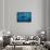 Humpback Whale-Reinhard Dirscherl-Framed Stretched Canvas displayed on a wall