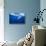 Humpback Whale-DLILLC-Stretched Canvas displayed on a wall