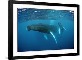 Humpback Whale-Reinhard Dirscherl-Framed Photographic Print