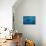 Humpback Whale-Reinhard Dirscherl-Photographic Print displayed on a wall