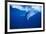 Humpback Whale-DLILLC-Framed Photographic Print