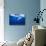 Humpback Whale-DLILLC-Photographic Print displayed on a wall