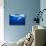 Humpback Whale-DLILLC-Mounted Photographic Print displayed on a wall