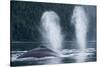 Humpback Whales, Alaska-Paul Souders-Stretched Canvas