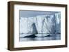 Humpback Whales in Disko Bay in Greenland-Paul Souders-Framed Photographic Print