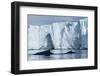 Humpback Whales in Disko Bay in Greenland-Paul Souders-Framed Photographic Print