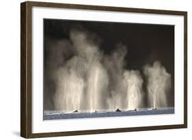 Humpback Whales Spouting While Feeding in Chatham Strait-Paul Souders-Framed Photographic Print