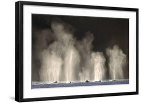 Humpback Whales Spouting While Feeding in Chatham Strait-Paul Souders-Framed Photographic Print