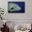 Humpback Wrasse Closeup-Hal Beral-Framed Stretched Canvas displayed on a wall