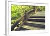 Humpbacked Bridge Fragment-Yury Zap-Framed Photographic Print