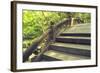 Humpbacked Bridge Fragment-Yury Zap-Framed Photographic Print