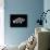 Humphead Cichlid {Cyphotilapia Frontosa)-Jane Burton-Mounted Photographic Print displayed on a wall