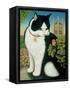 Humphrey, the Downing Street Cat, 1995-Frances Broomfield-Framed Stretched Canvas