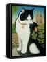 Humphrey, the Downing Street Cat, 1995-Frances Broomfield-Framed Stretched Canvas