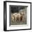 Humphry-Assaf Frank-Framed Giclee Print