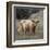 Humphry-Assaf Frank-Framed Giclee Print