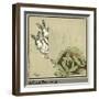 Humpty and Dumpty the Rabbits Find a Cabbage-Cecil Aldin-Framed Photographic Print