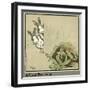 Humpty and Dumpty the Rabbits Find a Cabbage-Cecil Aldin-Framed Photographic Print